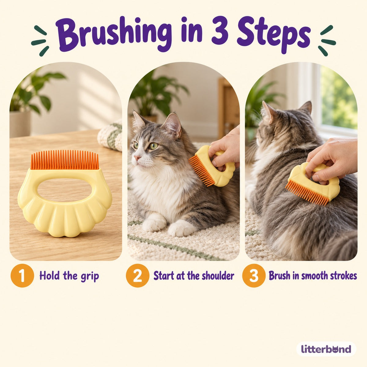 Shell Massage Comb - how to use it