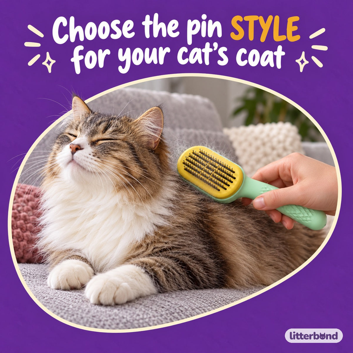 Three-Pin Slicker Brush for Brushing with a cat