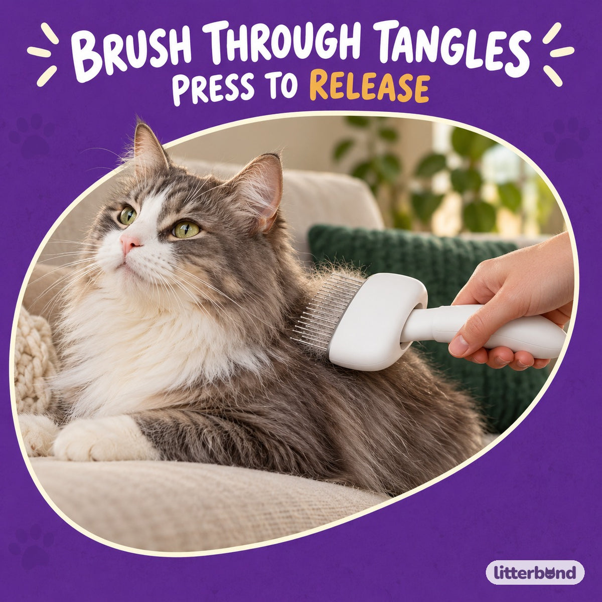 Double-Row Slicker Brush for Brushing with a cat