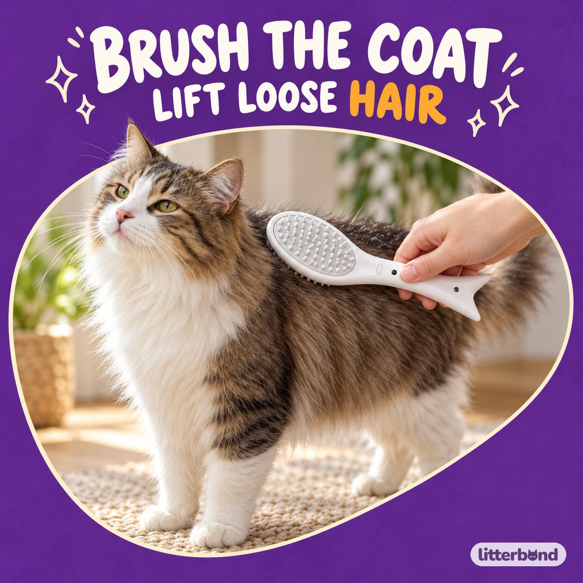 Oval Pin Brush for Coat Grooming with a cat