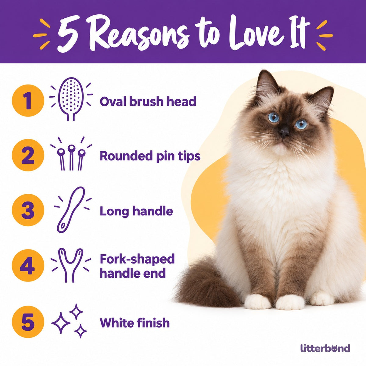 Oval Pin Brush for Coat Grooming - 5 reasons to love it
