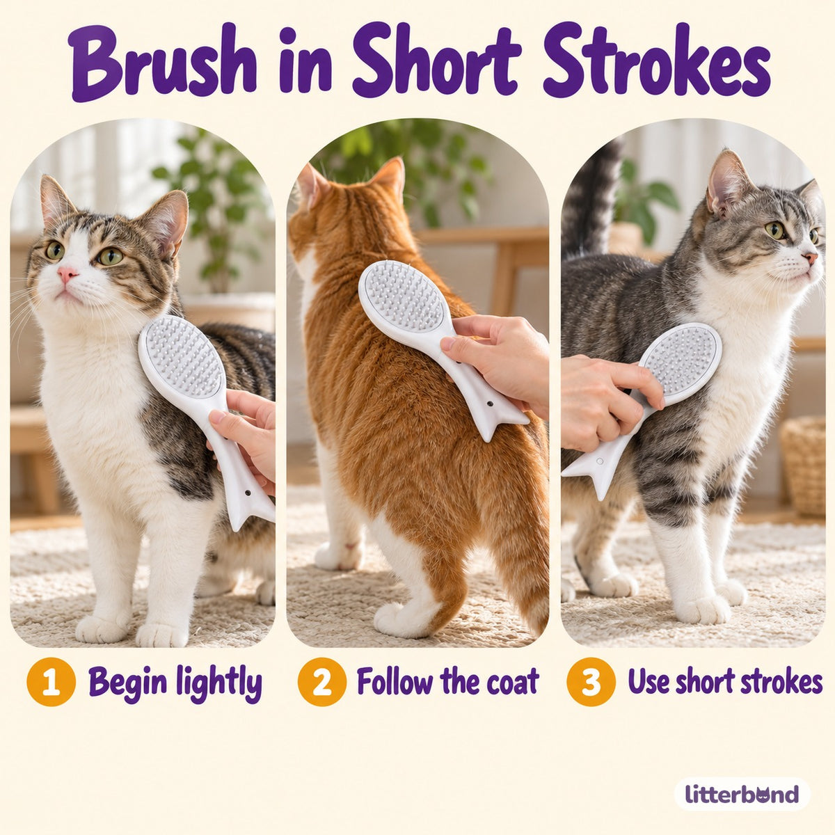 Oval Pin Brush for Coat Grooming - how to use it