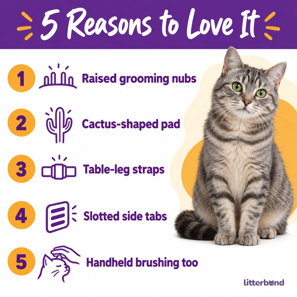 Cactus Self Groomer for Table Legs - 5 reasons to love it