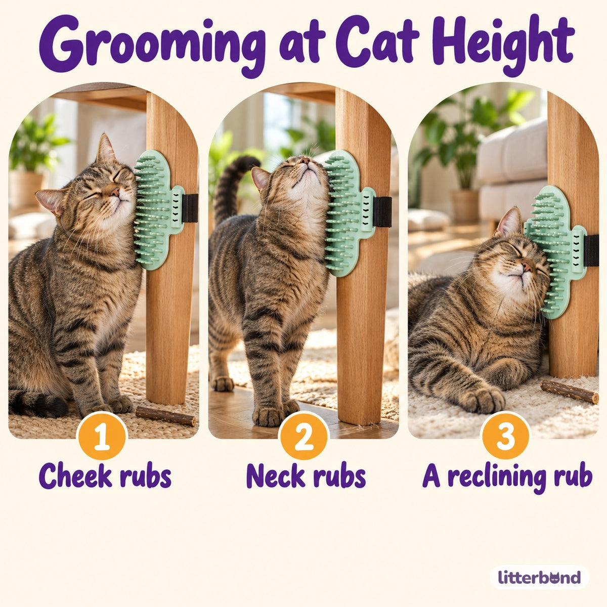 Cactus Self Groomer for Table Legs - how to use it