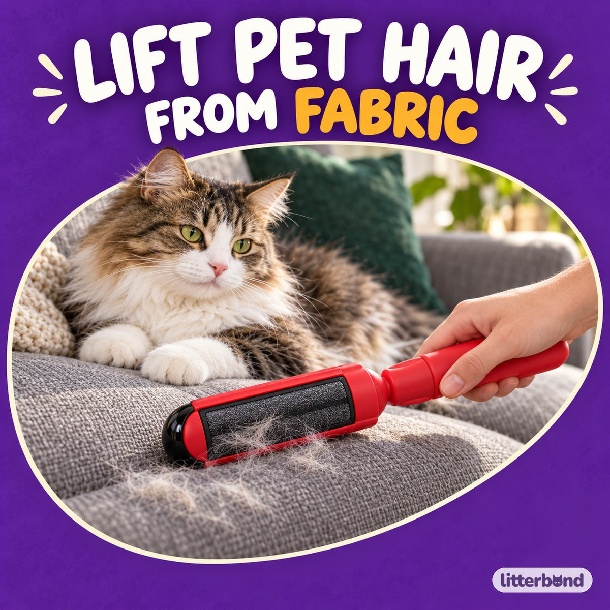 Hair Remover Brush for Upholstery with a cat