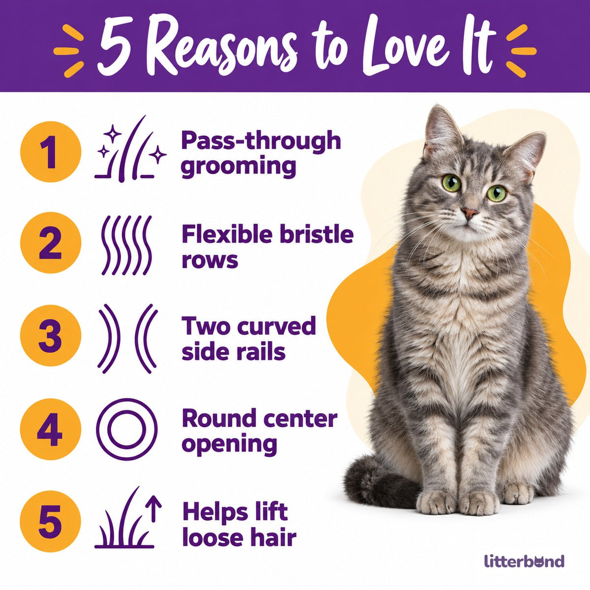 Bristle Door for Litter Box Grooming - 5 reasons to love it