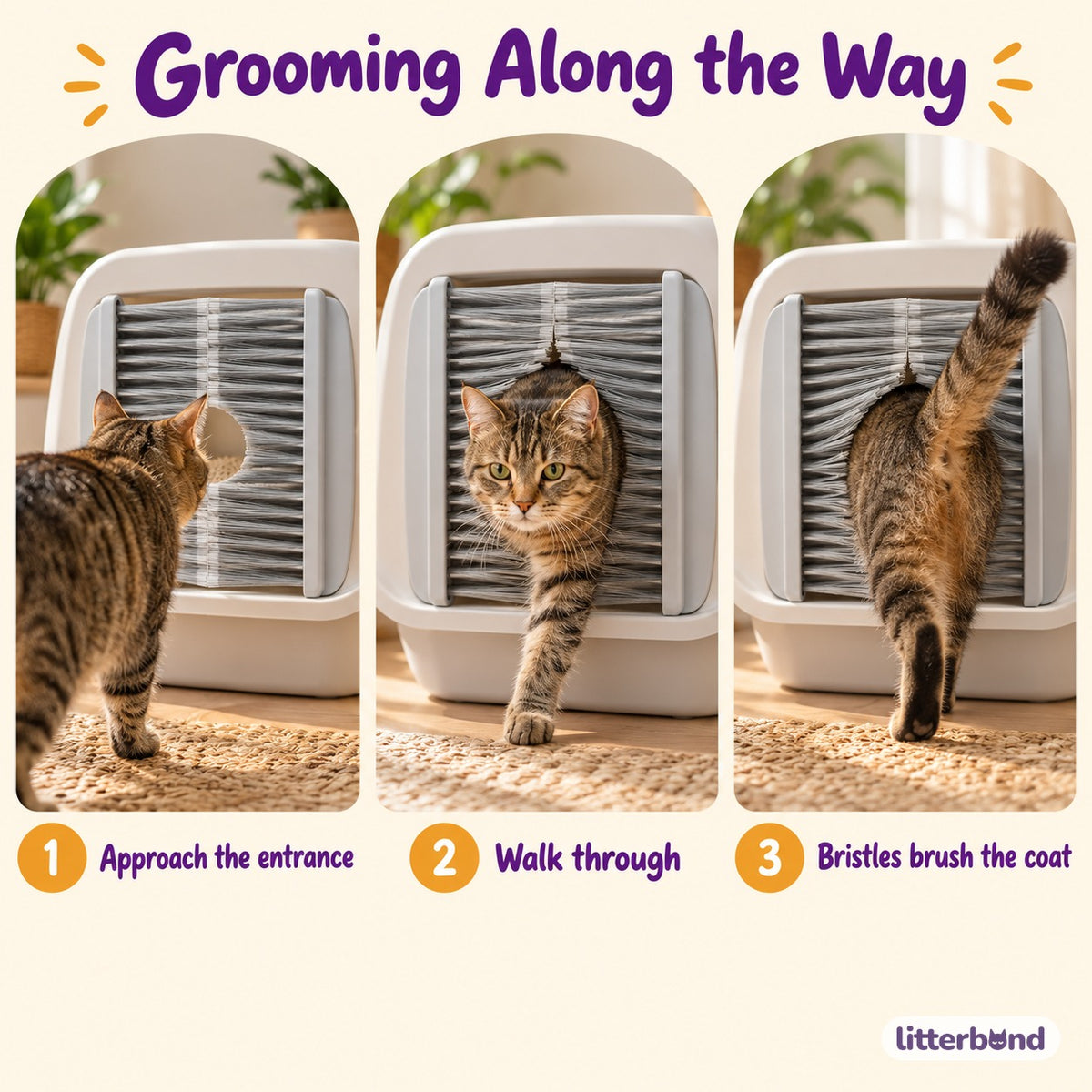 Bristle Door for Litter Box Grooming - how to use it
