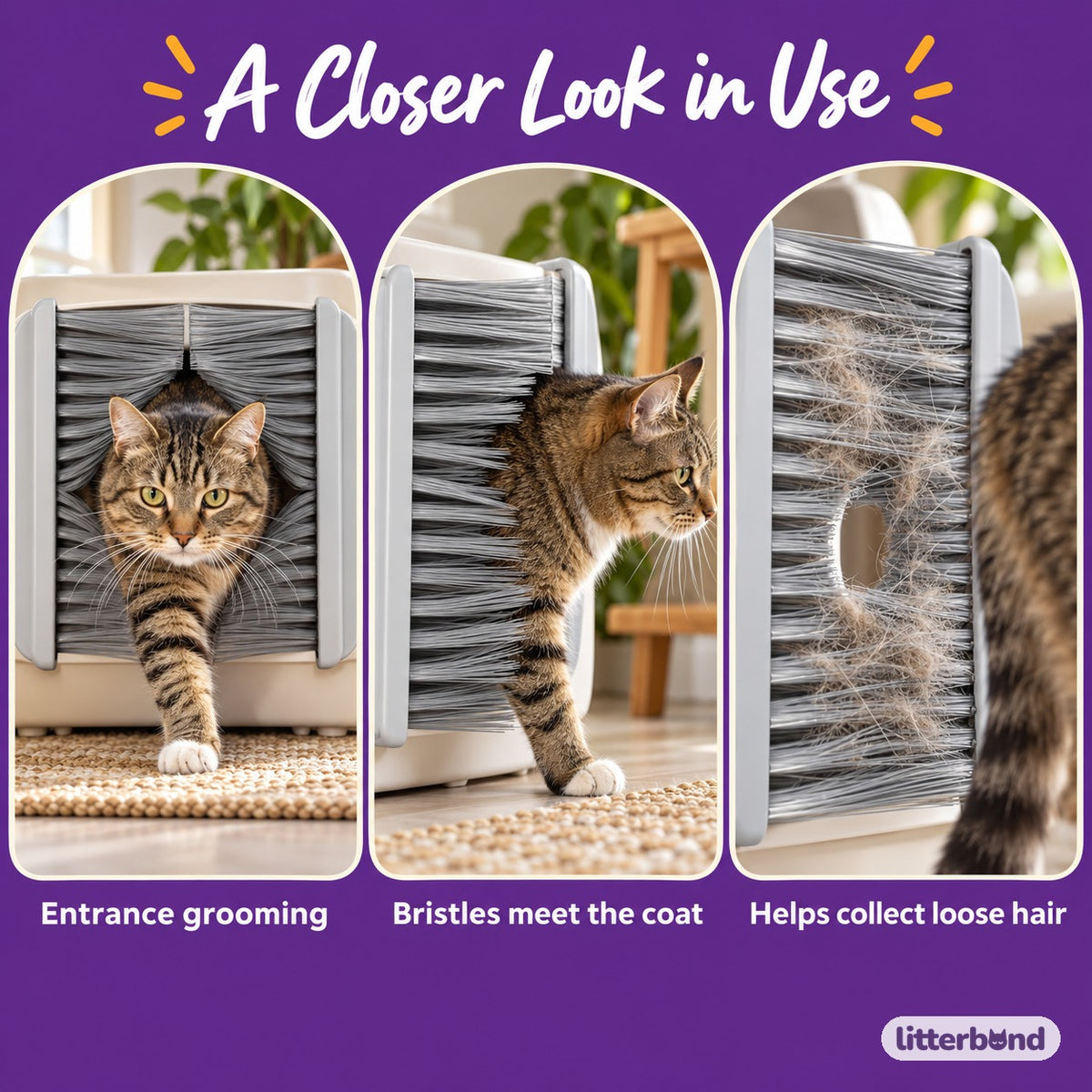 Bristle Door for Litter Box Grooming - grooming at home