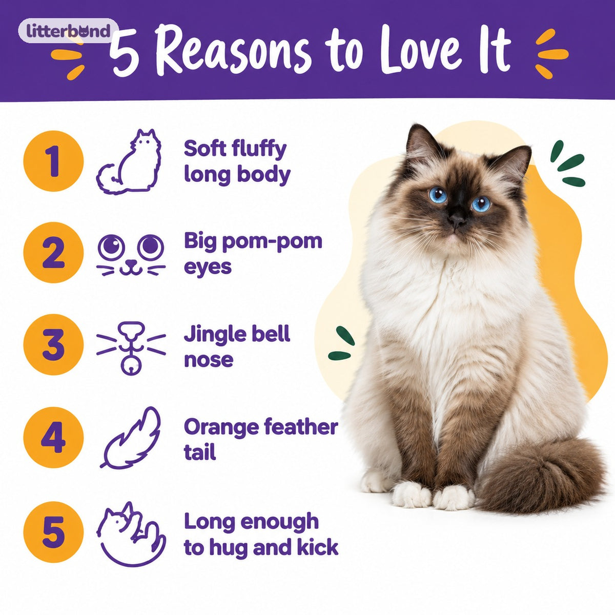 Floppy Pom-Pom Eye Snake - 5 reasons to love it