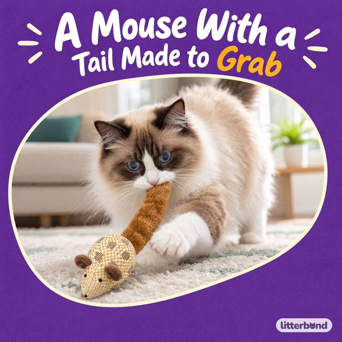 Checkerboard Long-Tail Mouse with a cat