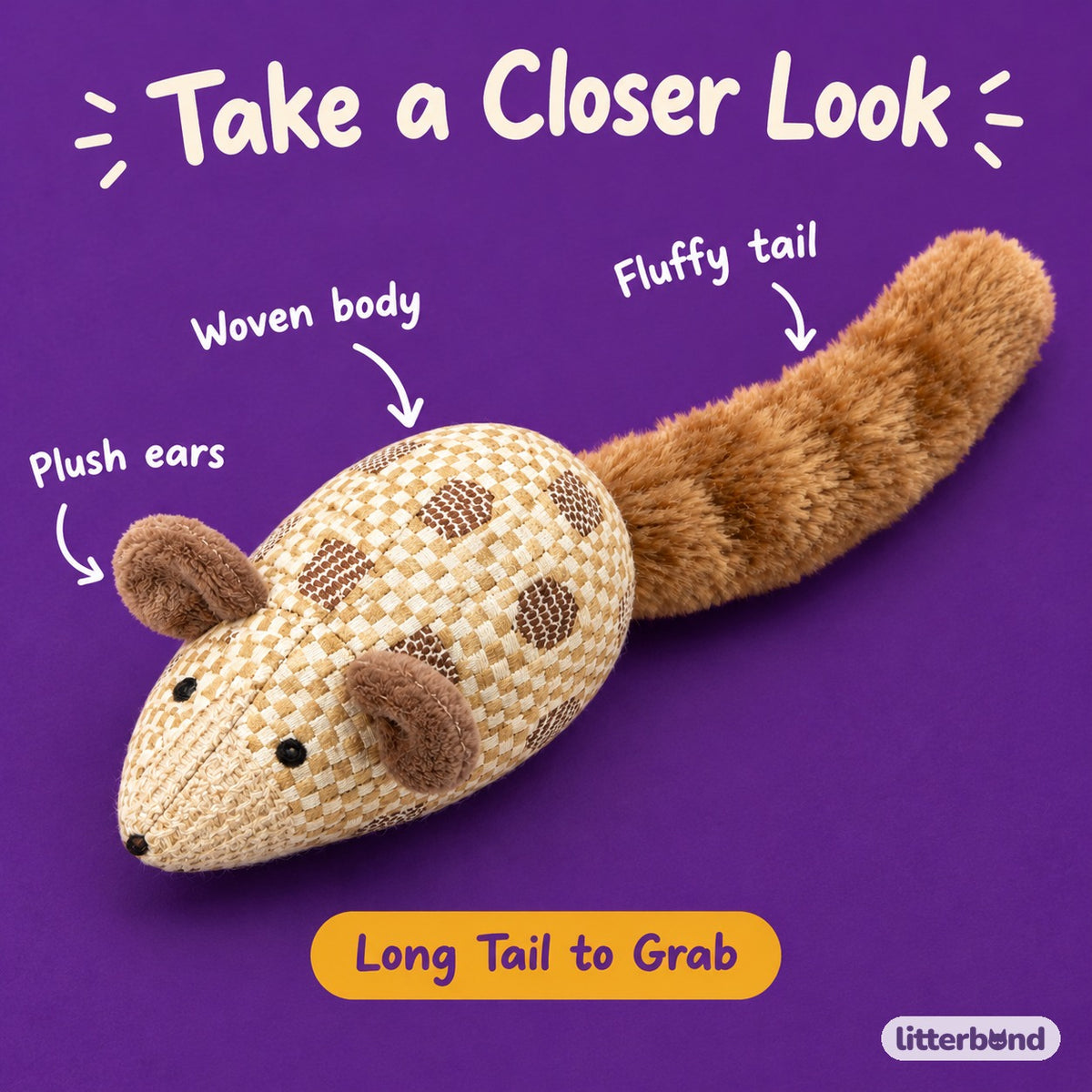 Checkerboard Long-Tail Mouse - close-up details