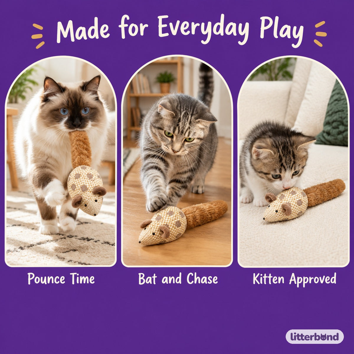 Checkerboard Long-Tail Mouse - playtime at home