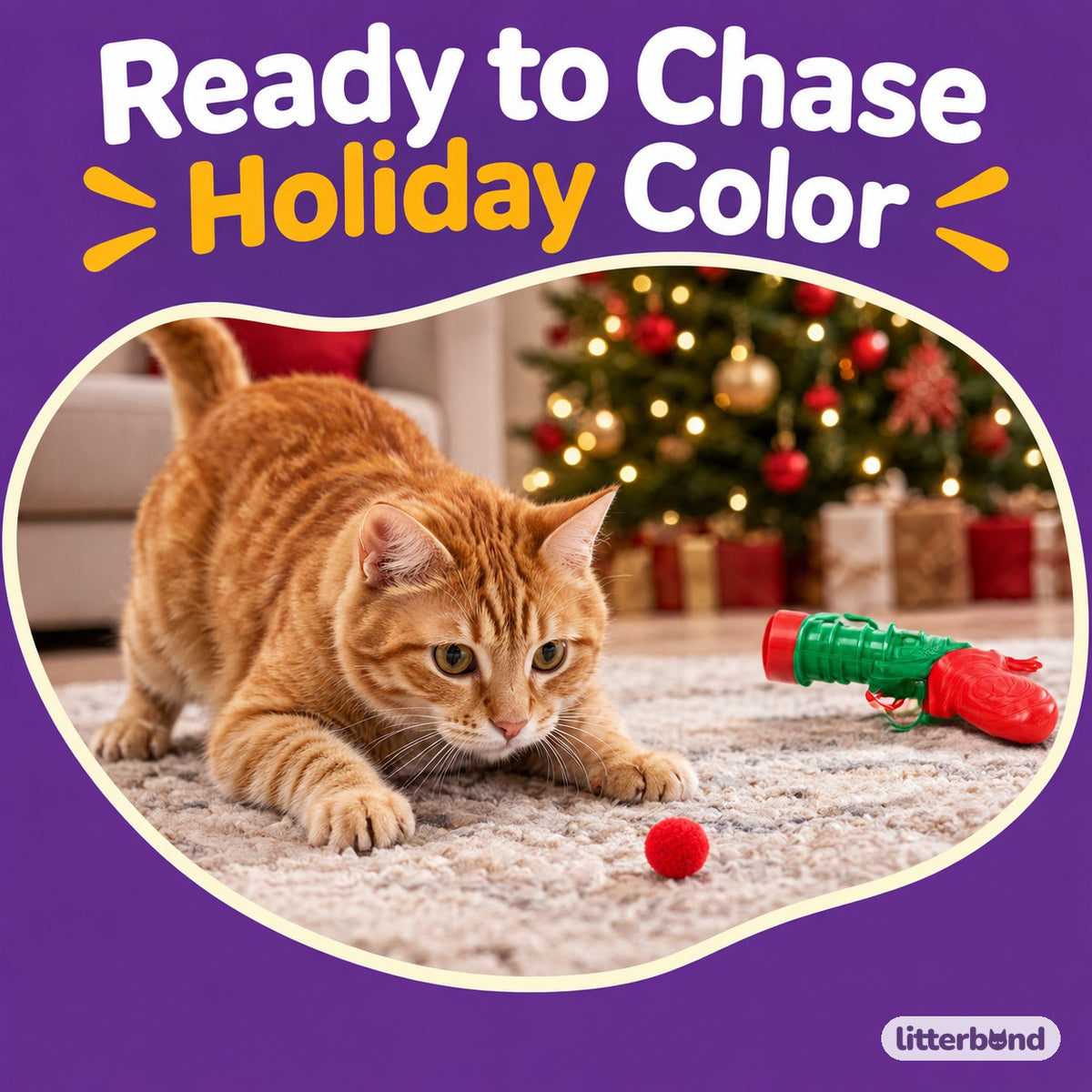 Christmas Ball Launcher & Refill Options with a cat