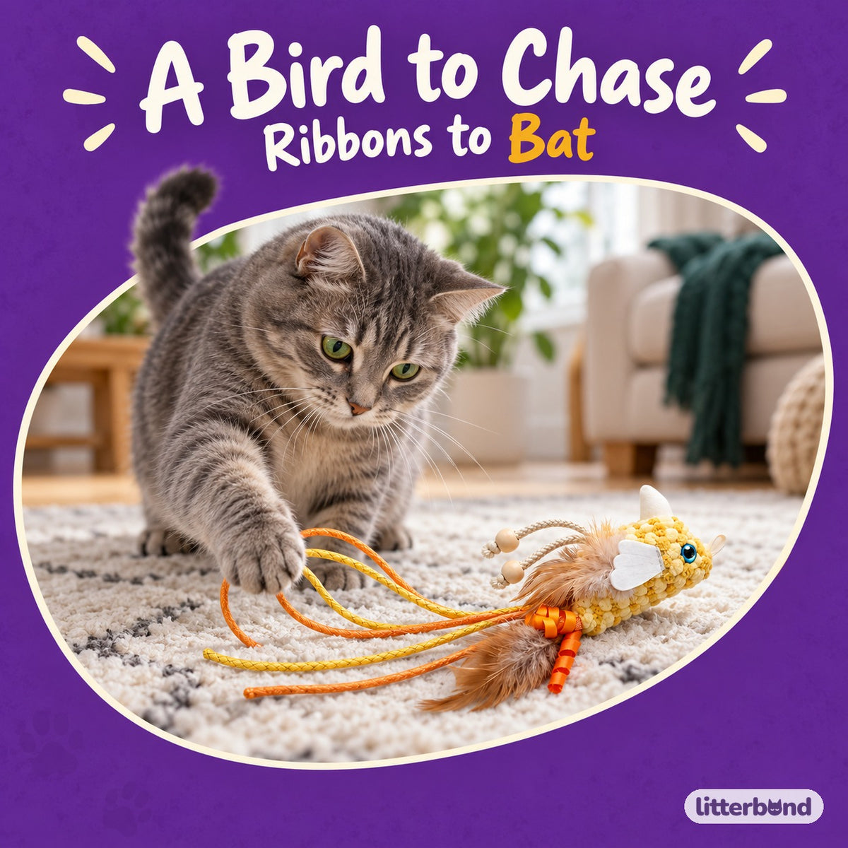 Long-Tail Bird Feather Toy with a cat