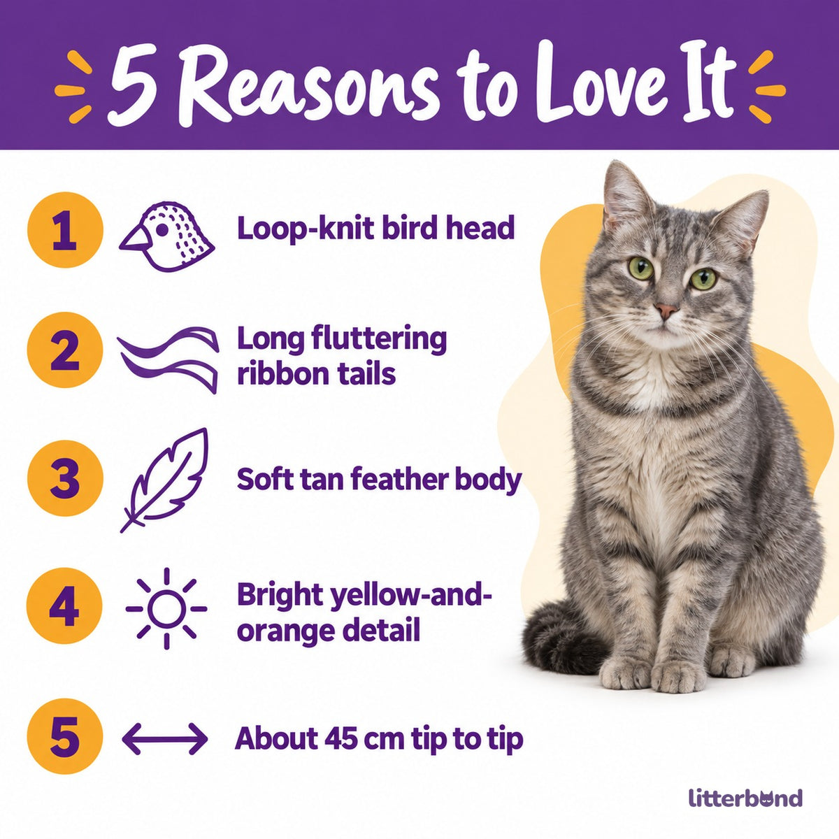 Long-Tail Bird Feather Toy - 5 reasons to love it