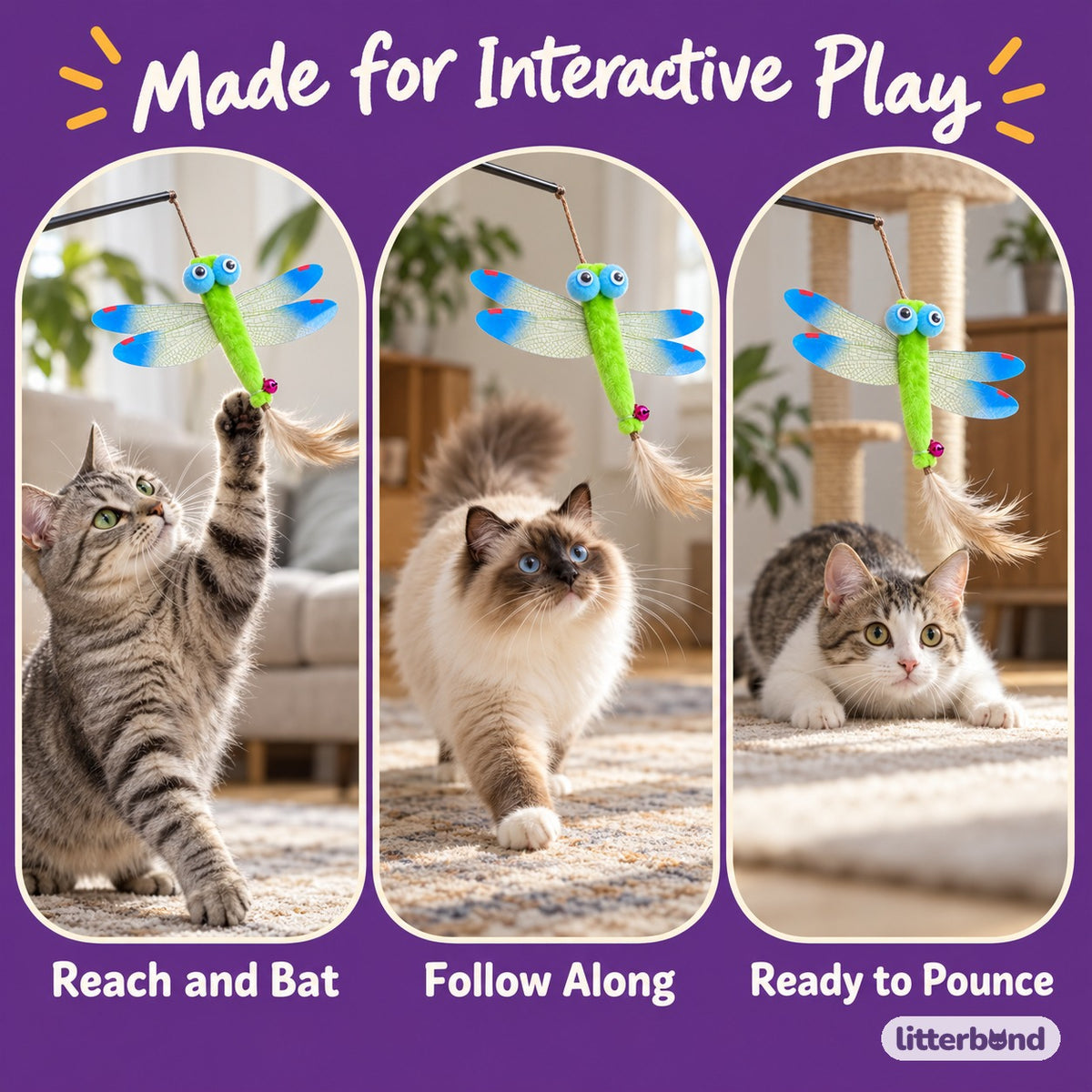 Silvervine Dragonfly Teaser - playtime at home