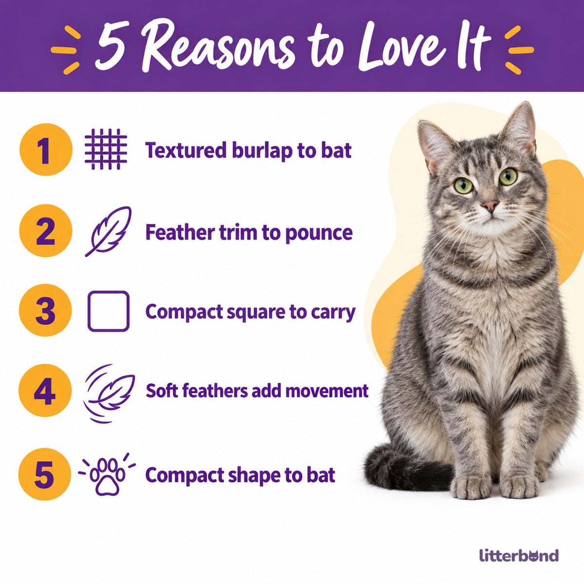 Burlap Feather Square Cat Toy - 5 reasons to love it