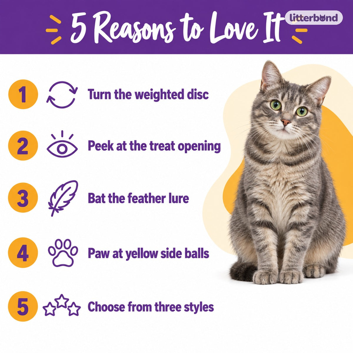 Snack Spinner Cat Toy - 5 reasons to love it