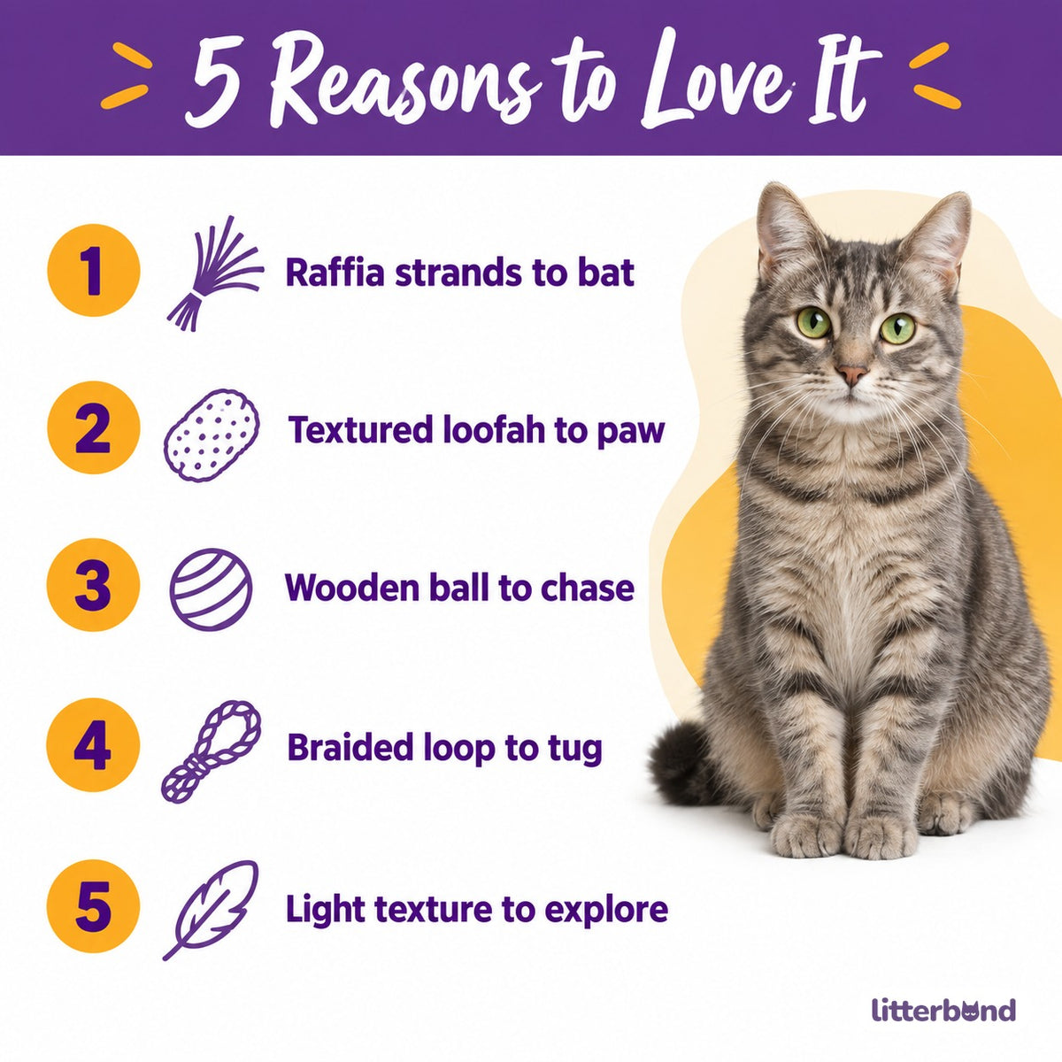 Loofah Raffia Cat Teaser - 5 reasons to love it