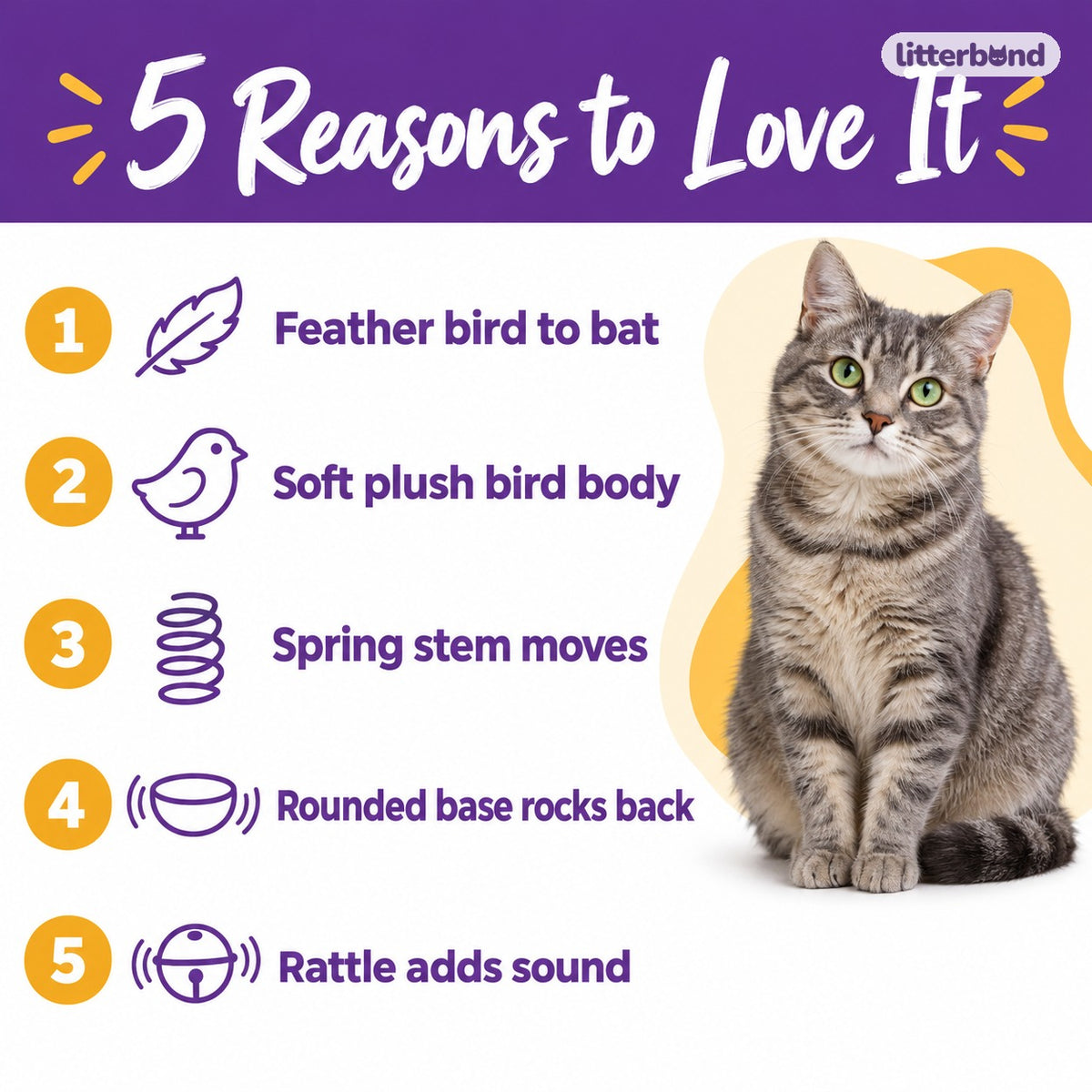 Bird Spring Tumbler Cat Toy - 5 reasons to love it