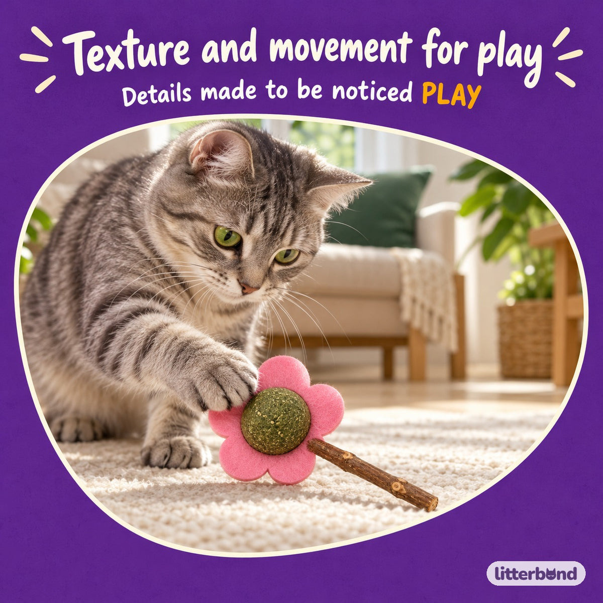Silvervine Flower Cat Balls with a cat