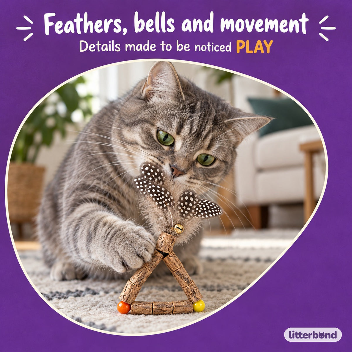 Silvervine Feather Play Toys with a cat