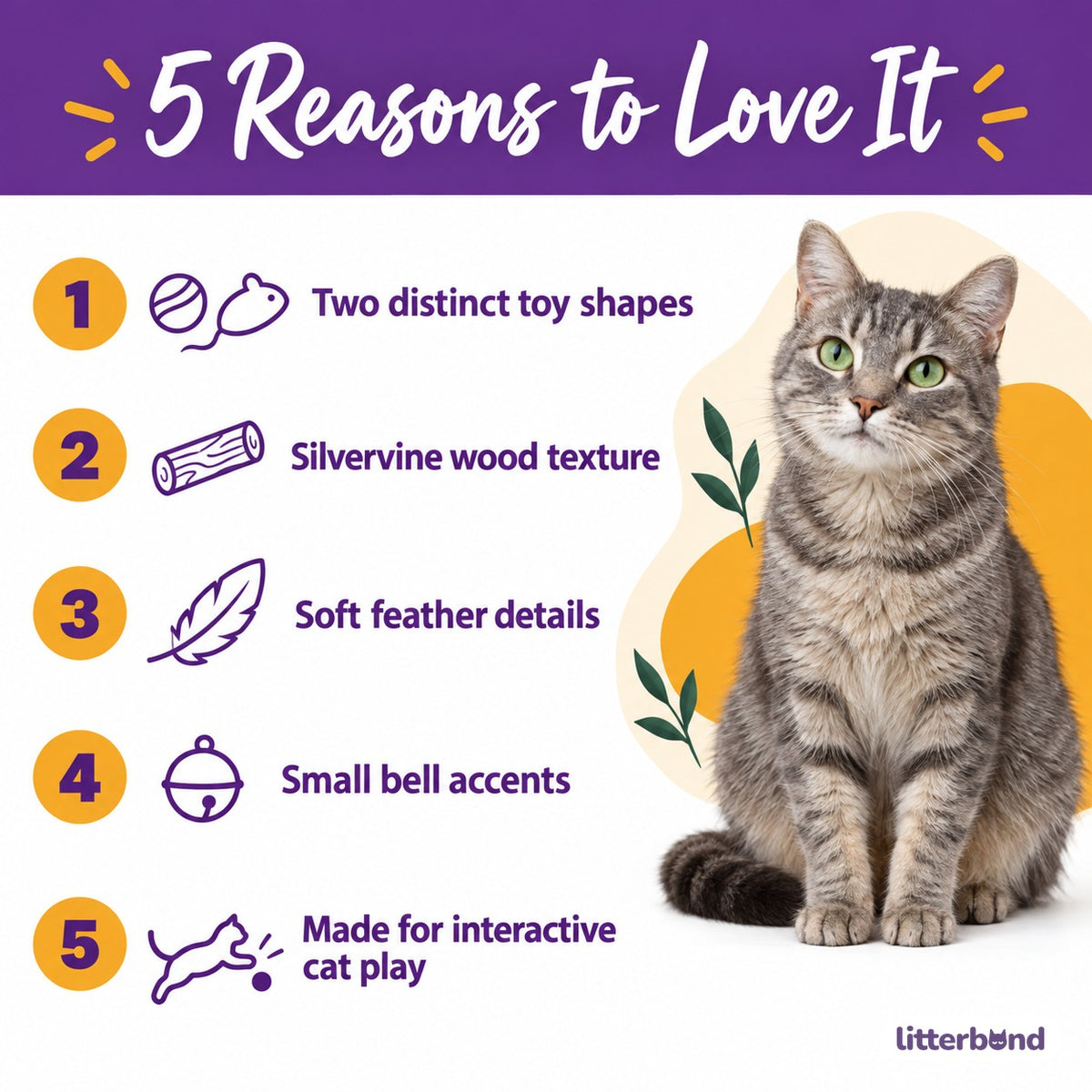 Silvervine Feather Play Toys - 5 reasons to love it