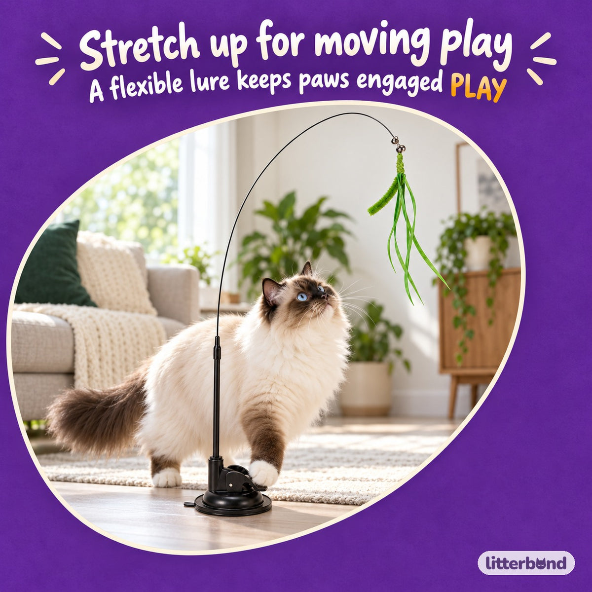 Foxtail Suction Teaser Wand with a cat