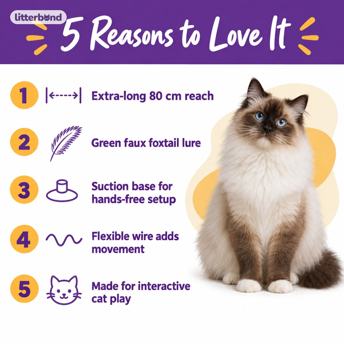 Foxtail Suction Teaser Wand - 5 reasons to love it