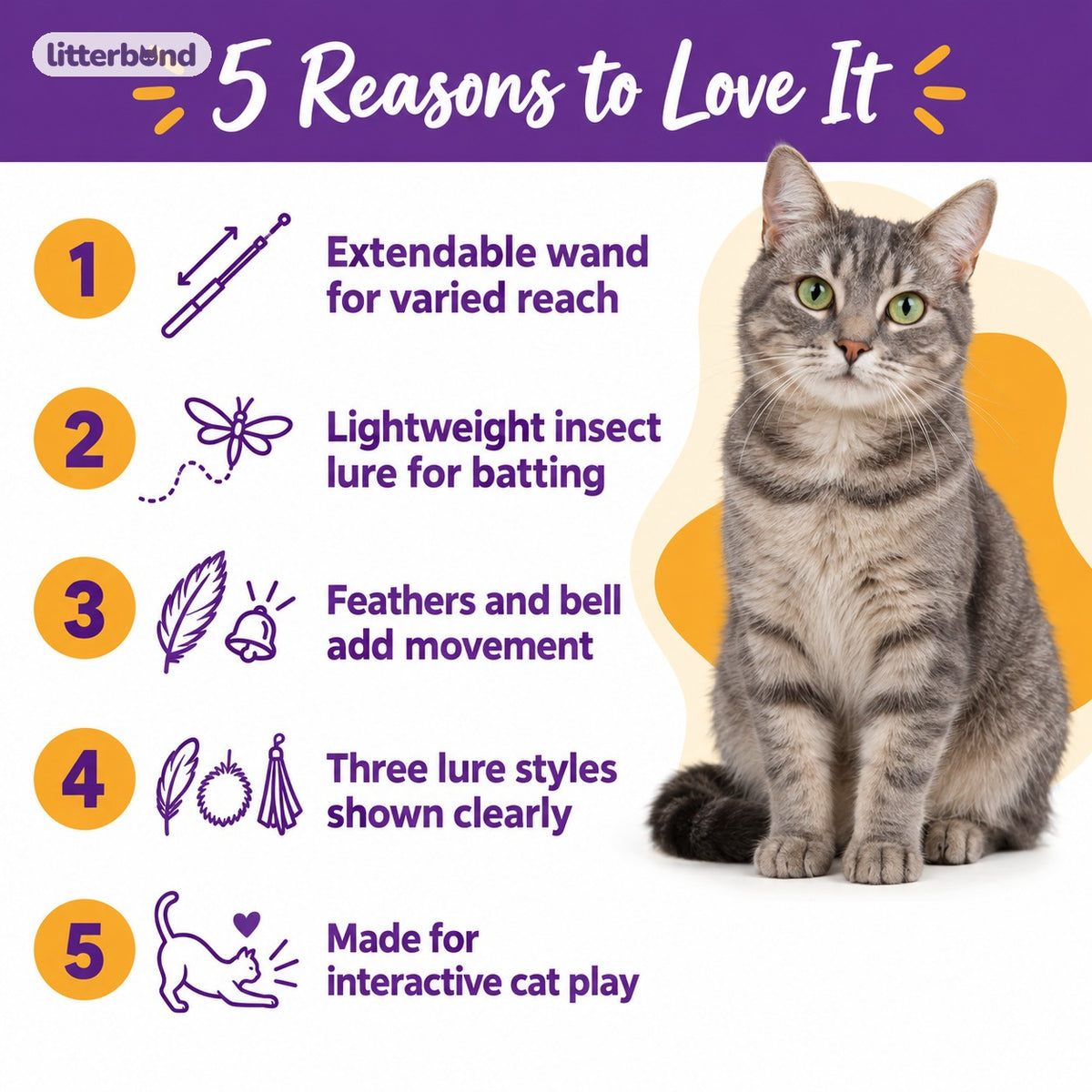 Feather Insect Wand for Chasing - 5 reasons to love it