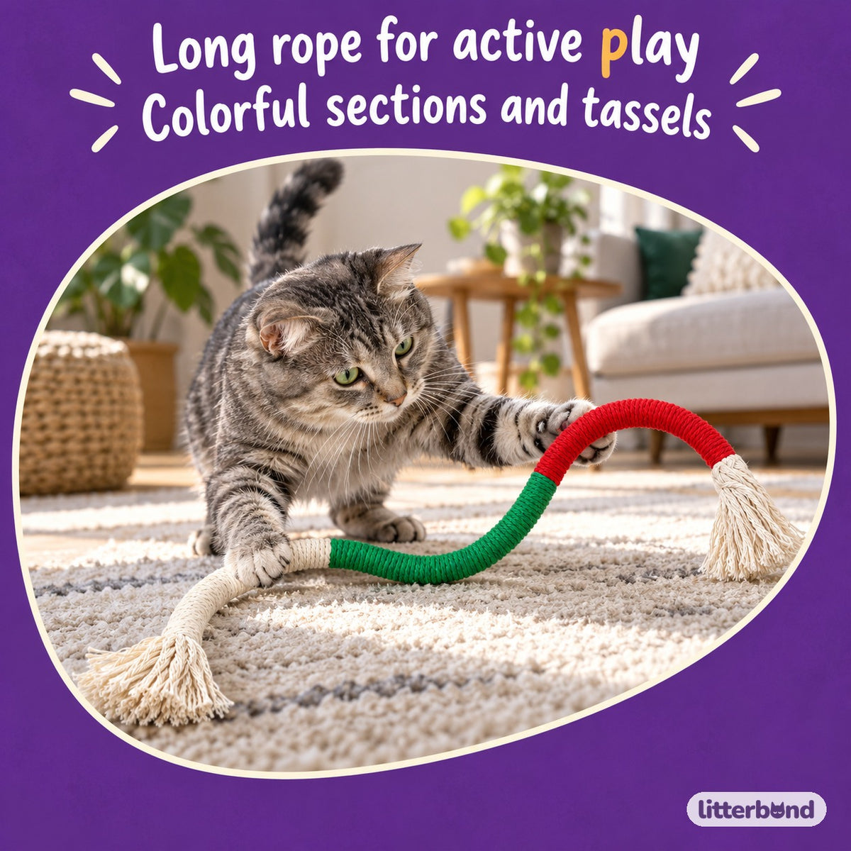 Tassel Trail Rope Toy with a cat