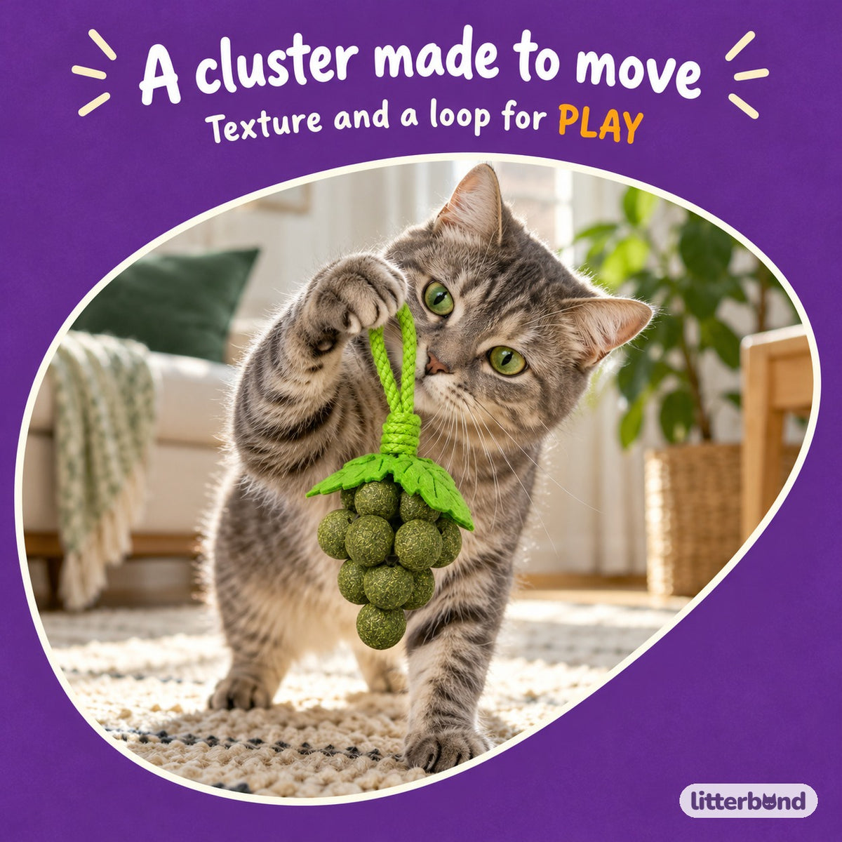 Textured Grape Cluster Hanging Toy with a cat