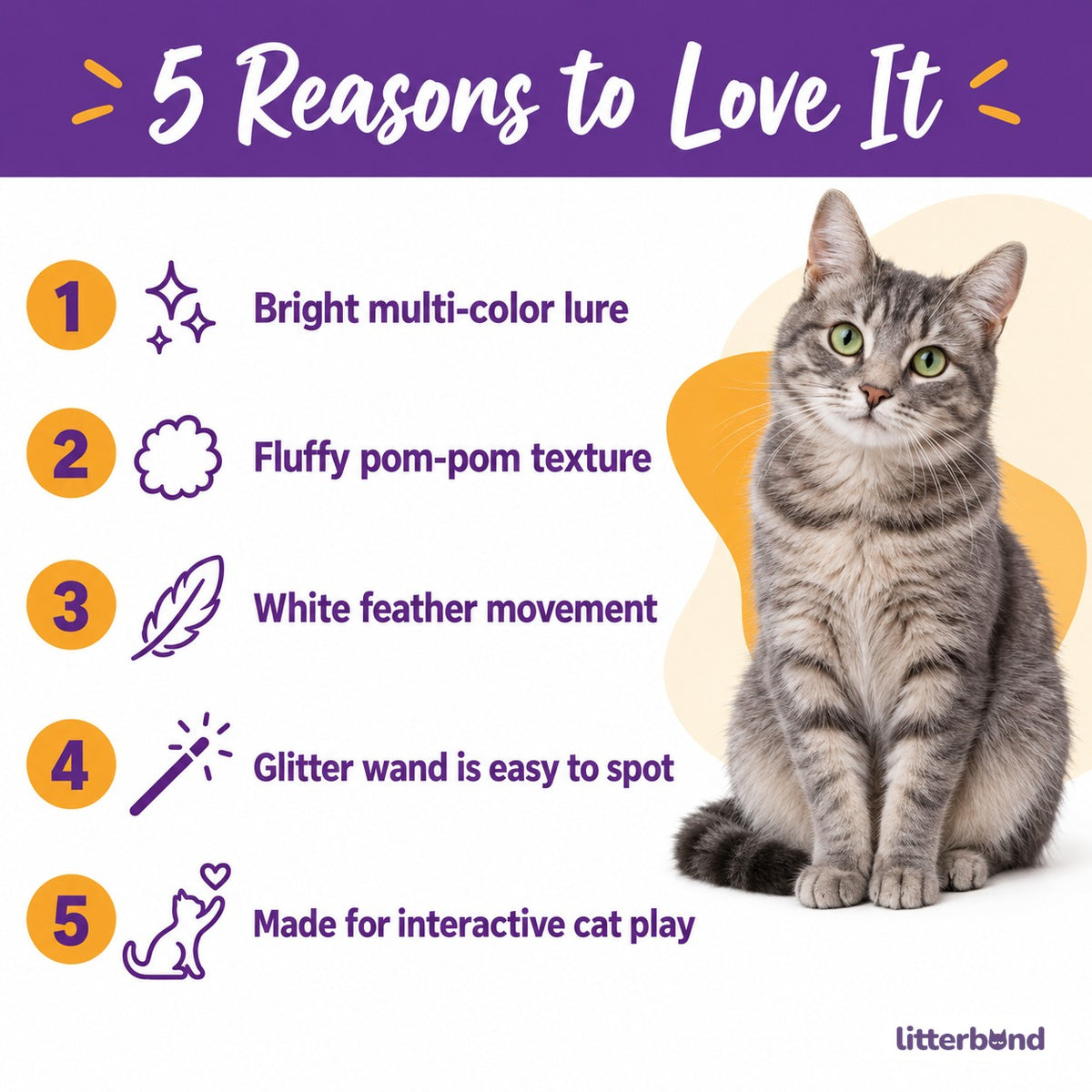 Rainbow Pom-Pom Wand for Chasing - 5 reasons to love it