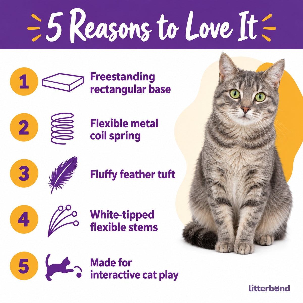 Spring Feather Scratcher - 5 reasons to love it