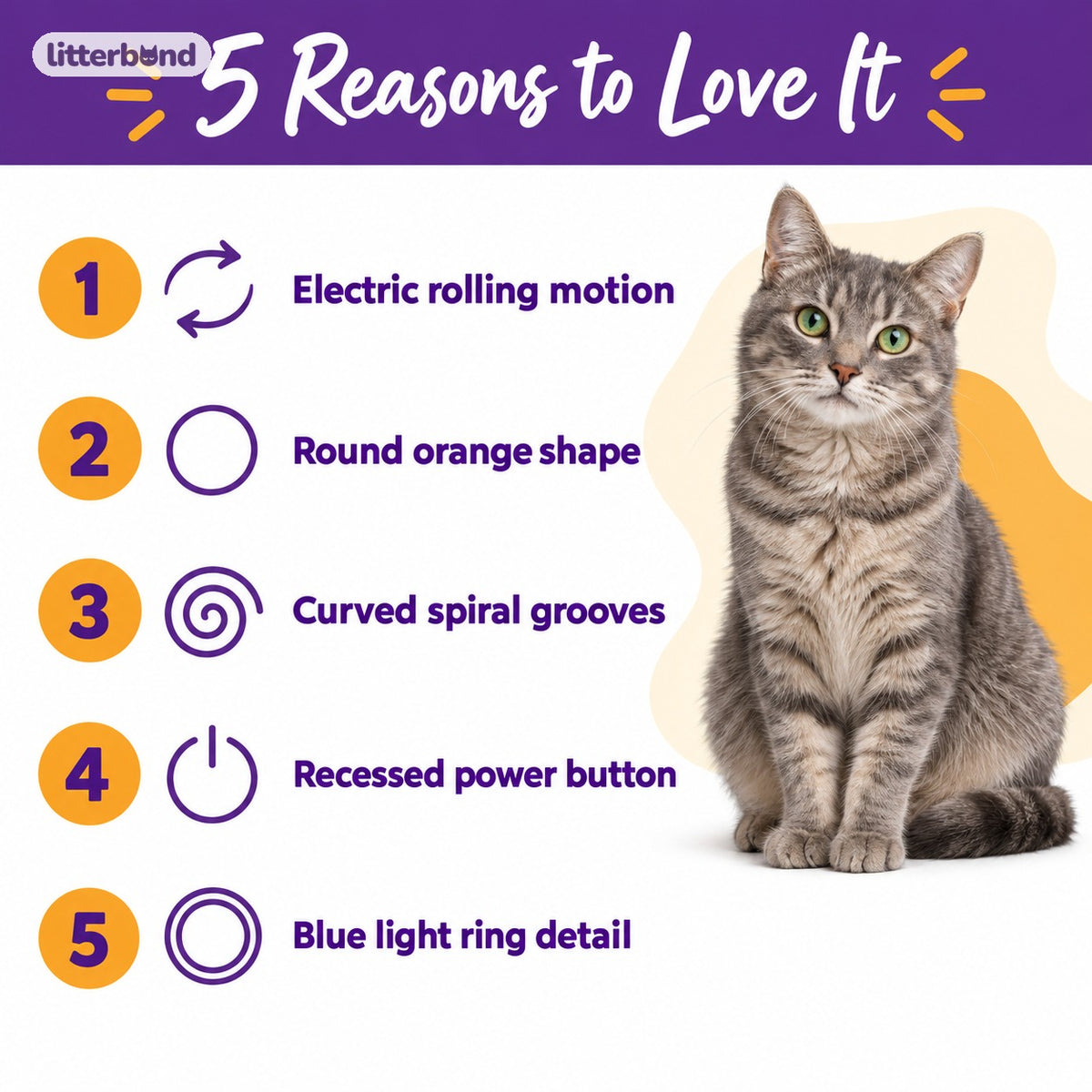 Orange Spiral Ball for Chasing - 5 reasons to love it