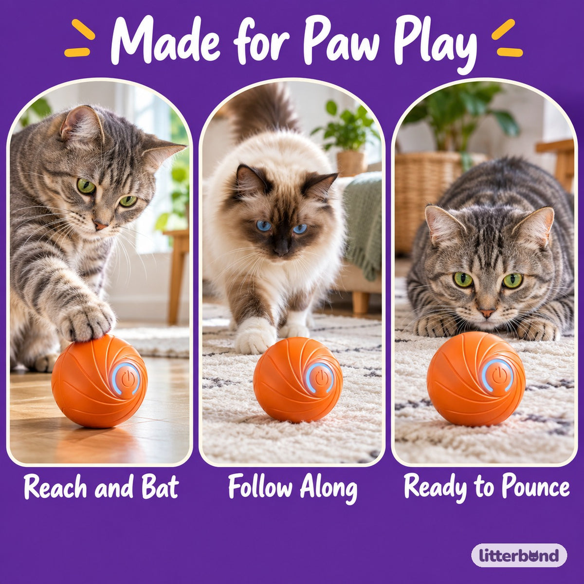 Orange Spiral Ball for Chasing - playtime at home