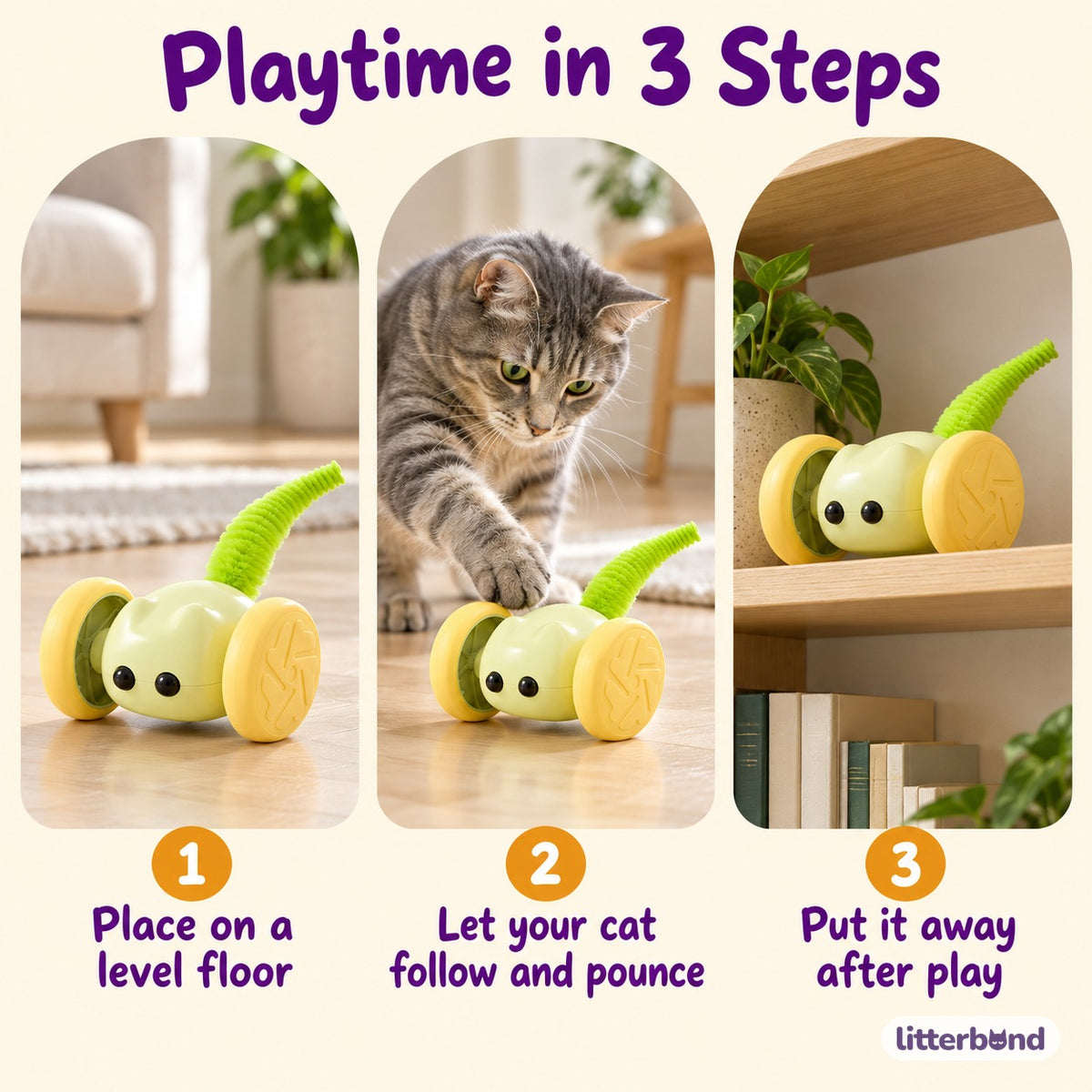 Wheeled Critter Toys for Chasing - how to play