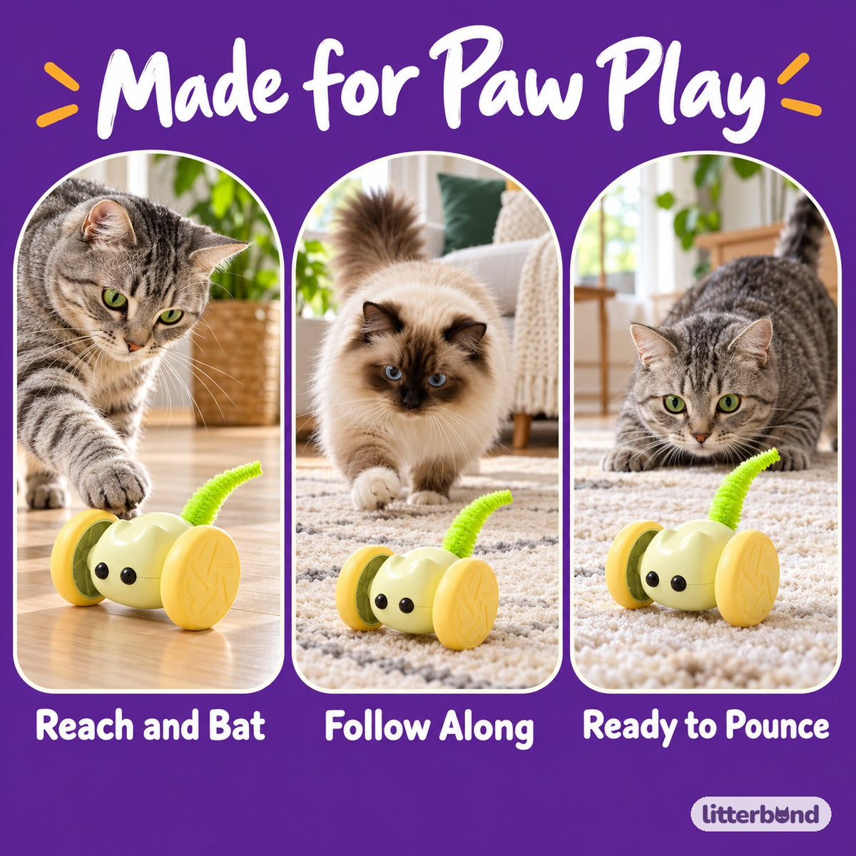 Wheeled Critter Toys for Chasing - playtime at home