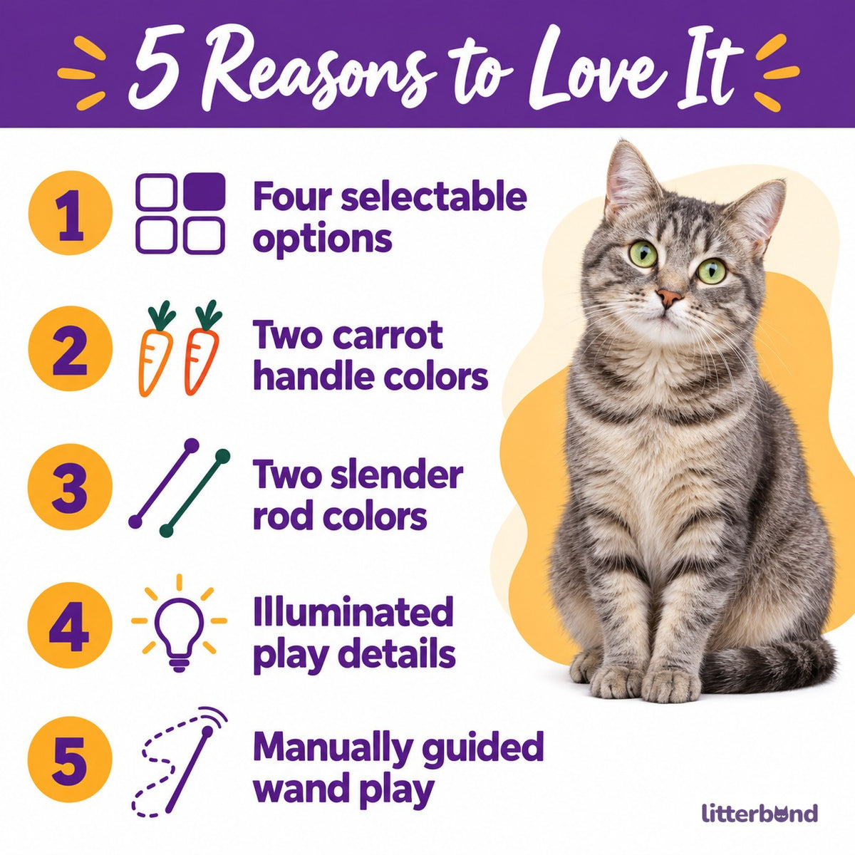 Light-Up Teaser Wands for Pouncing - 5 reasons to love it