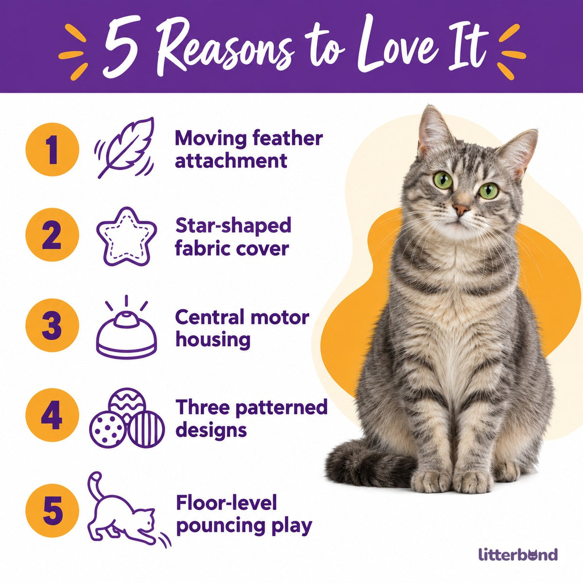 Hide-and-Seek Feather Mats for Pouncing - 5 reasons to love it