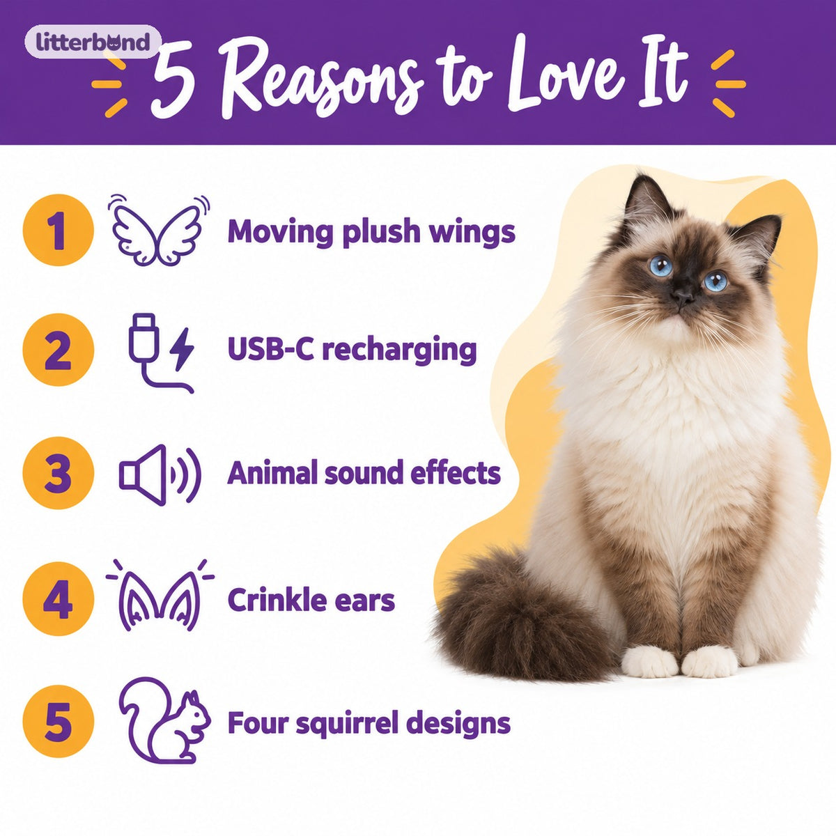 Flying Squirrel Toy for Pouncing - 5 reasons to love it