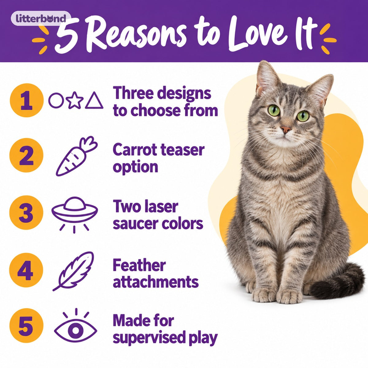 Carrot & Saucer Toys for Batting - 5 reasons to love it