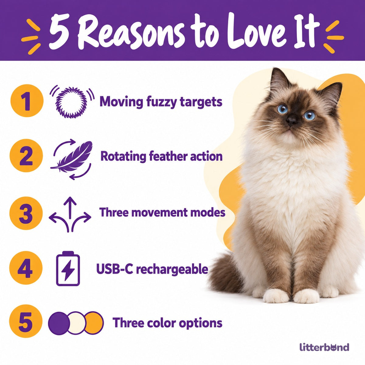 Pop-Up Pom-Pom Toy for Pouncing - 5 reasons to love it