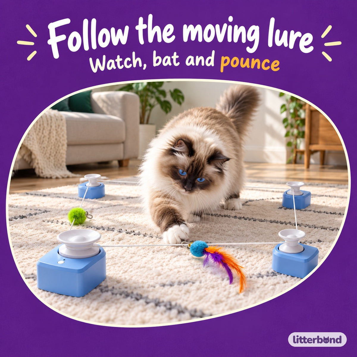 Electric Cord-Track Toy for Chasing with a cat