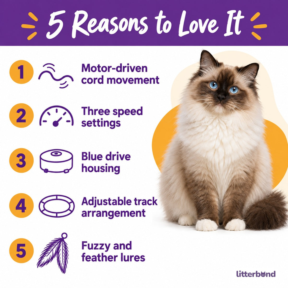 Electric Cord-Track Toy for Chasing - 5 reasons to love it