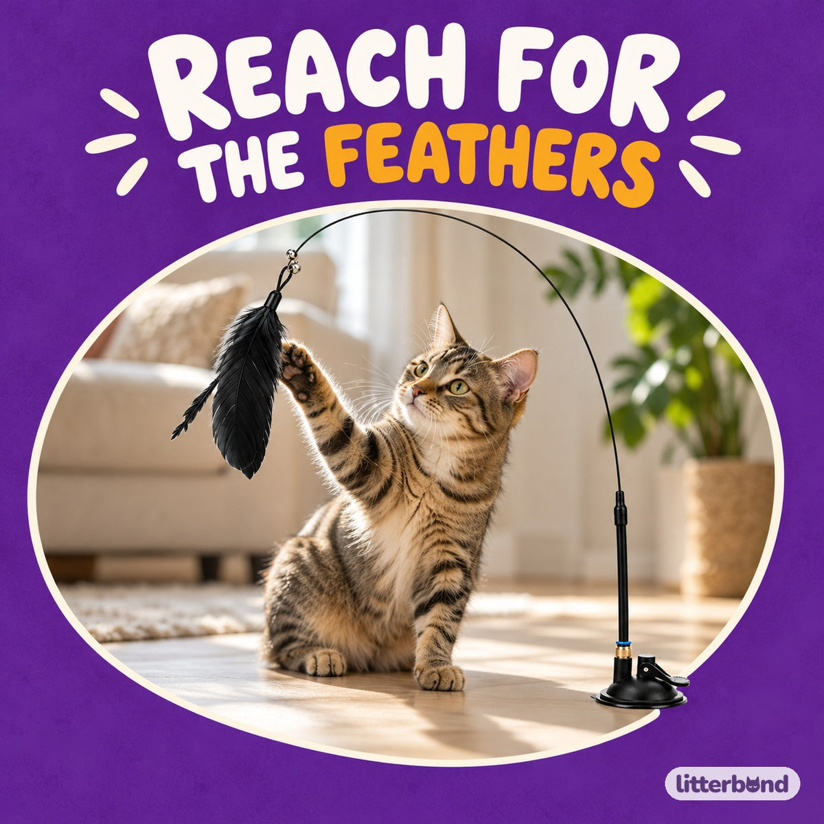 Suction Feather Wand for Batting with a cat