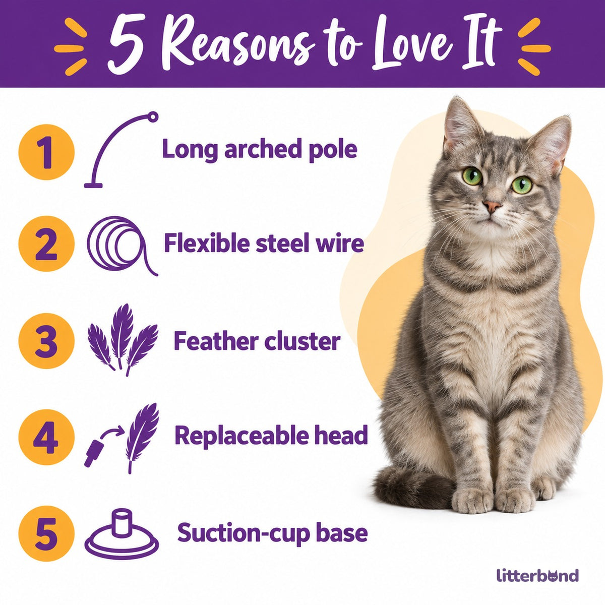 Suction Feather Wand for Batting - 5 reasons to love it