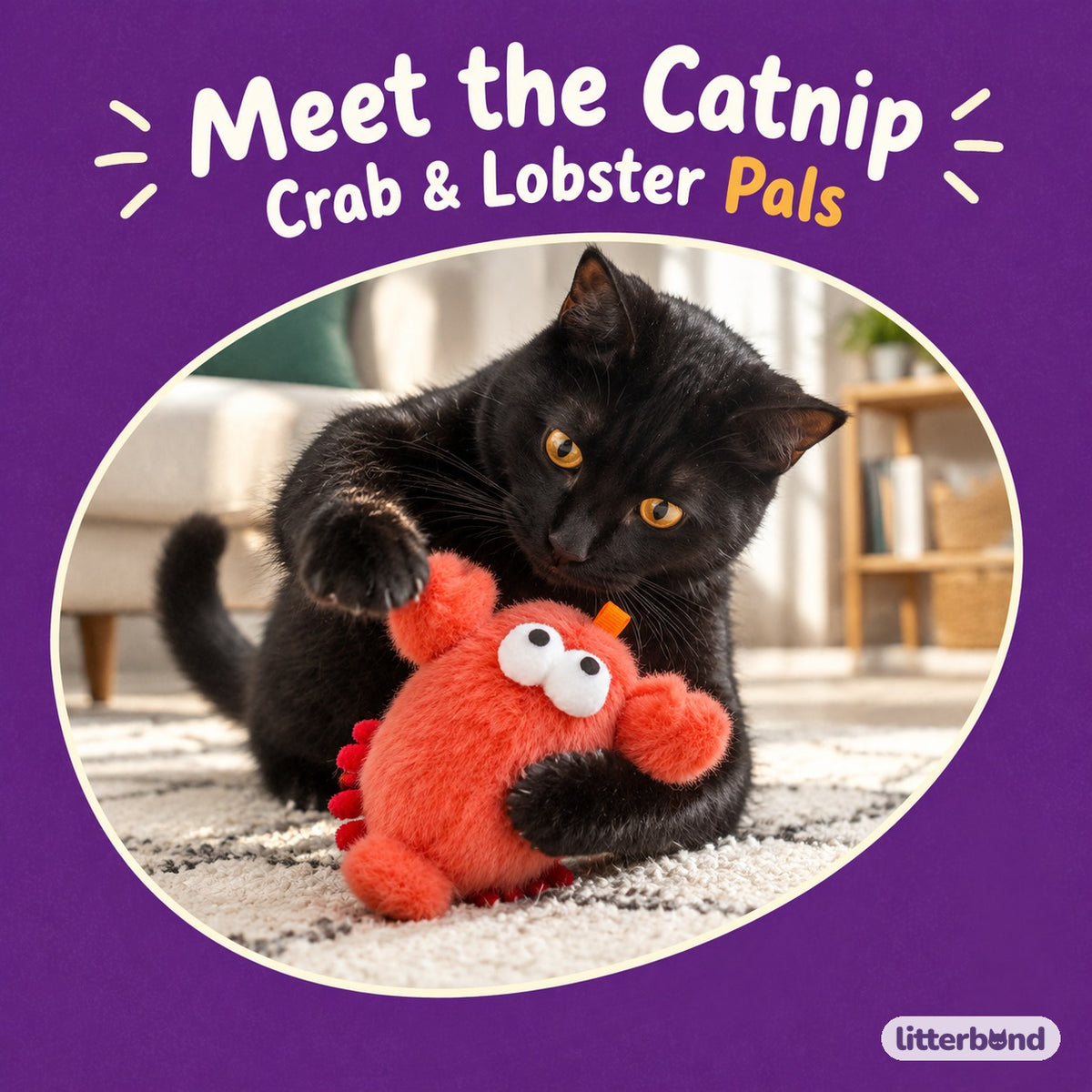 Pocket Crab & Lobster Pals with a cat