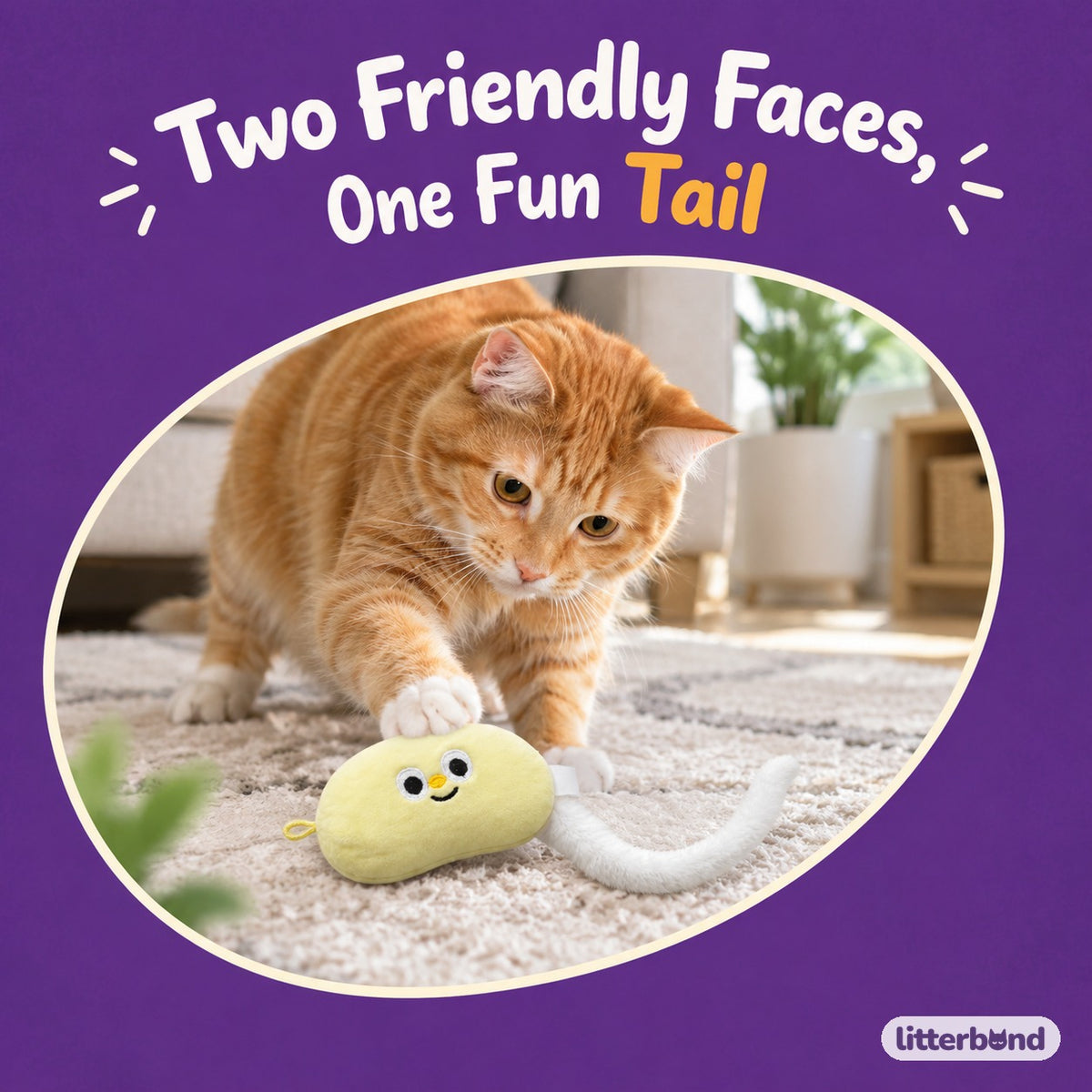 Long-Tail Bean Plushies with a cat