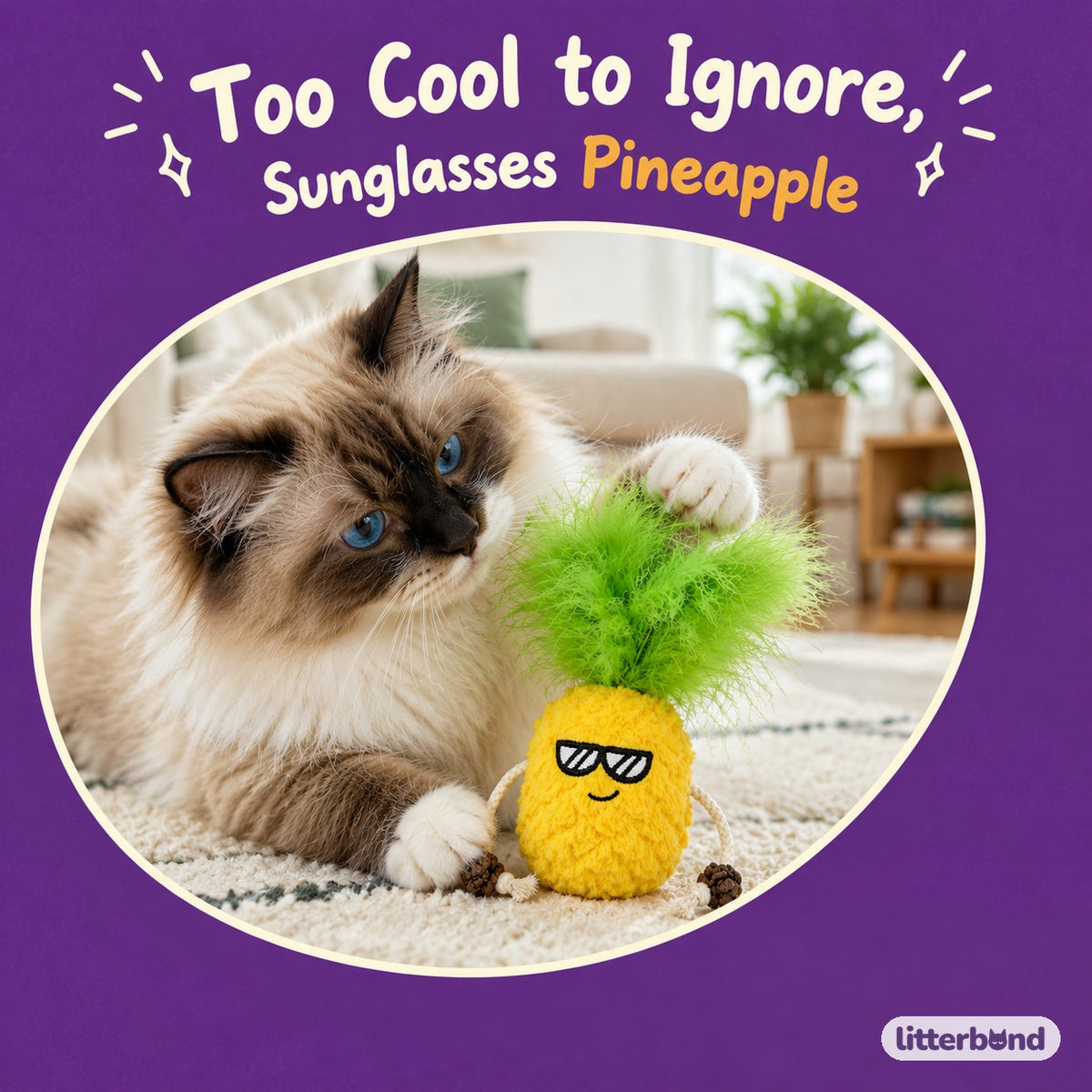 Shades Pineapple Pal with a cat